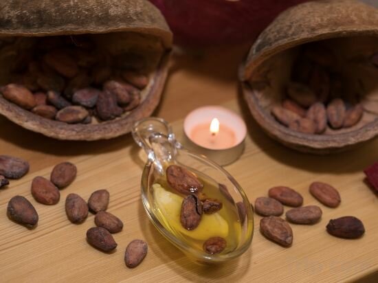 Фото Wellness & SPA hotel Villa Regenhart