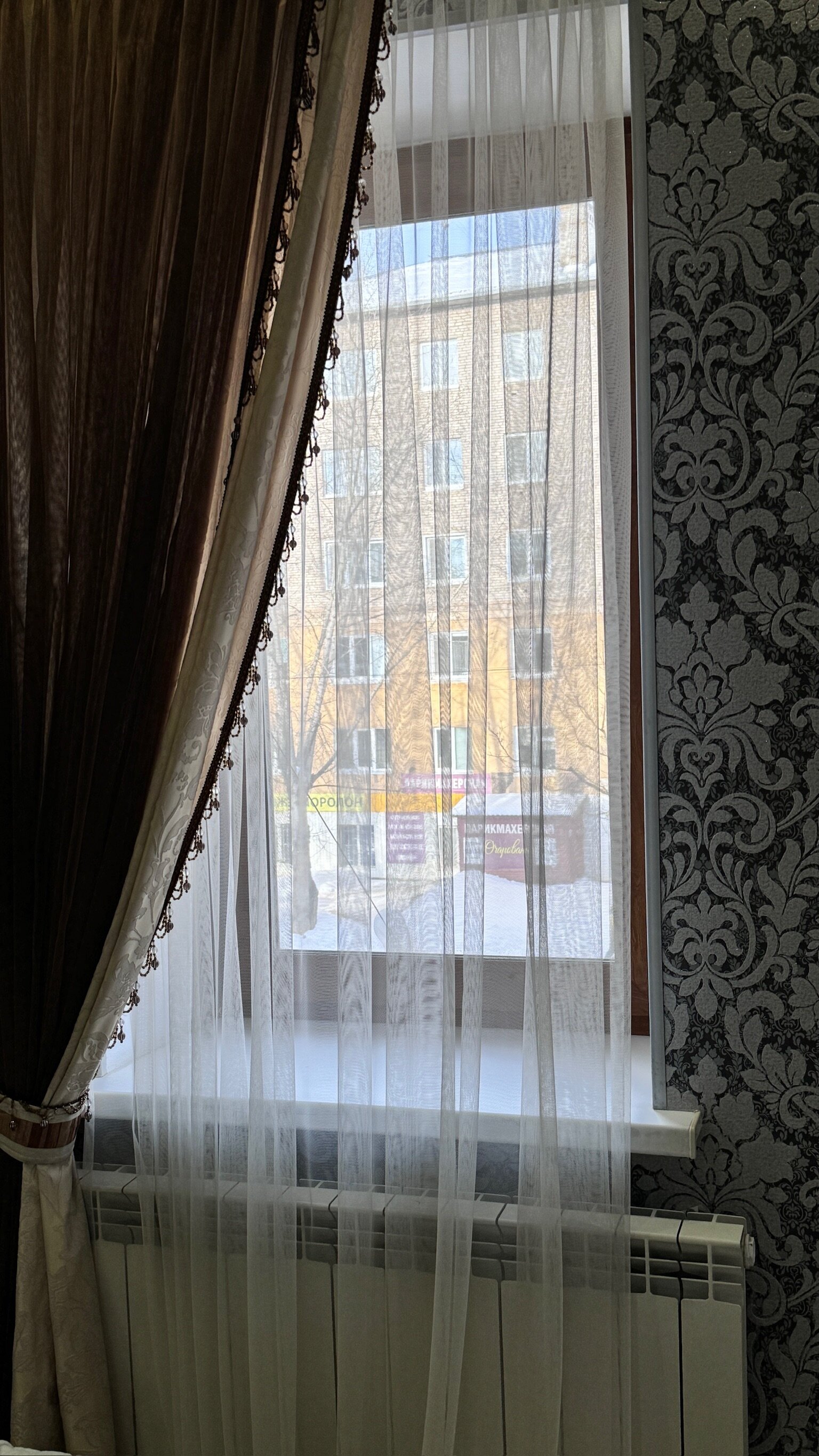 Фото Виноград