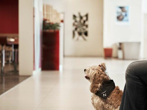 Гостиница Novotel Athenes в Афинах