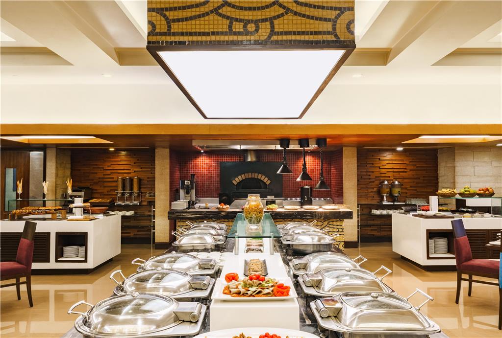 Фото Radisson Hotel Varanasi