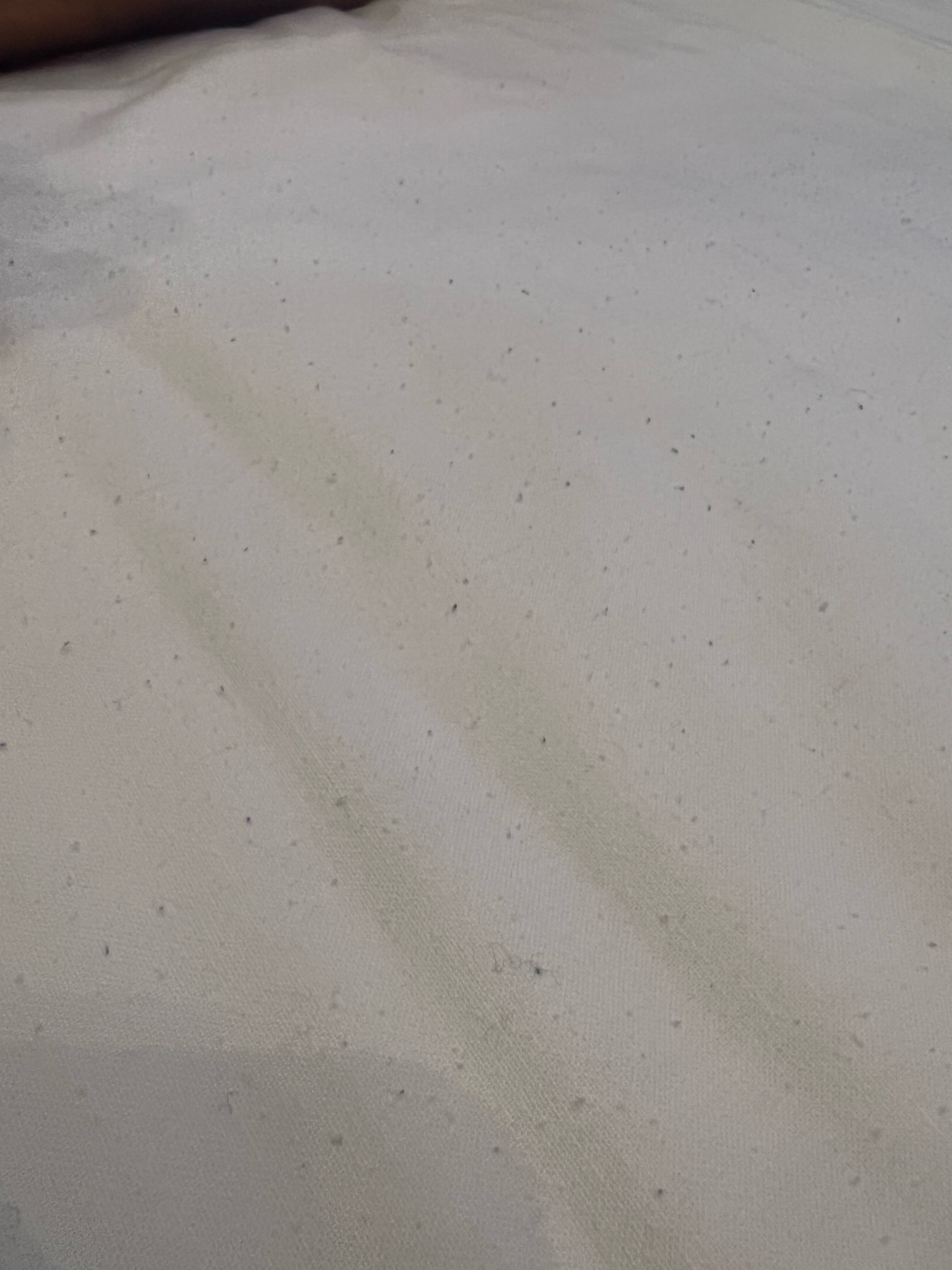 Фото Hotel Bella Napoli