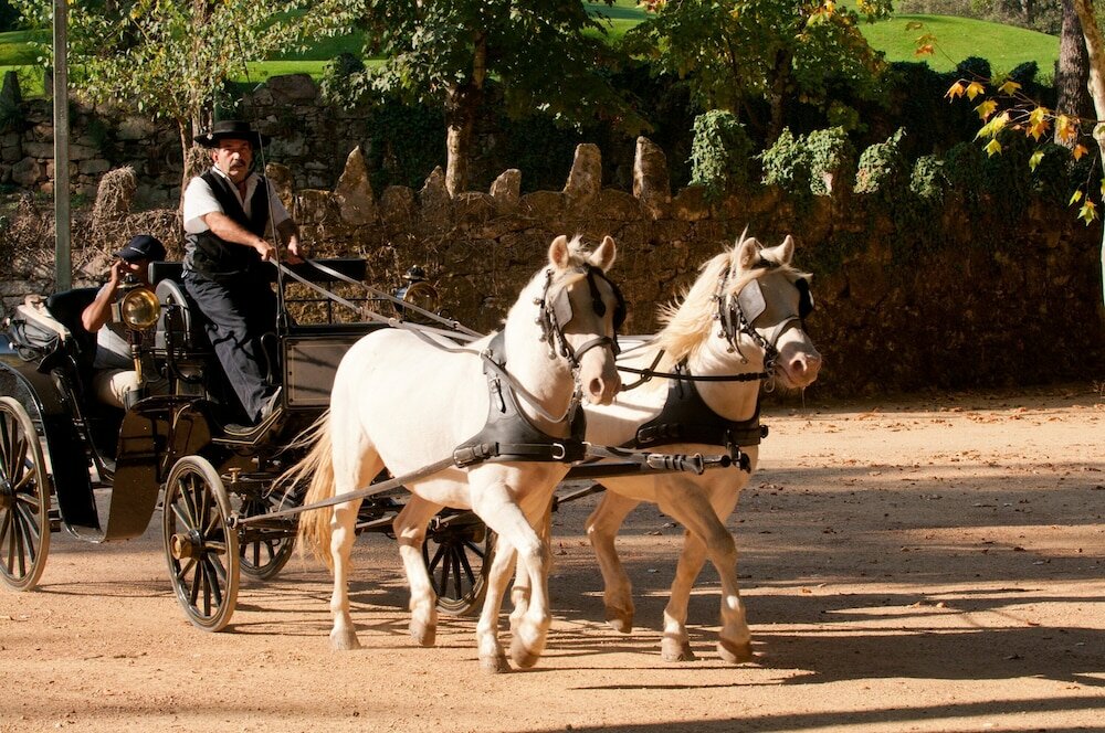 Фото Vidago Palace Hotel