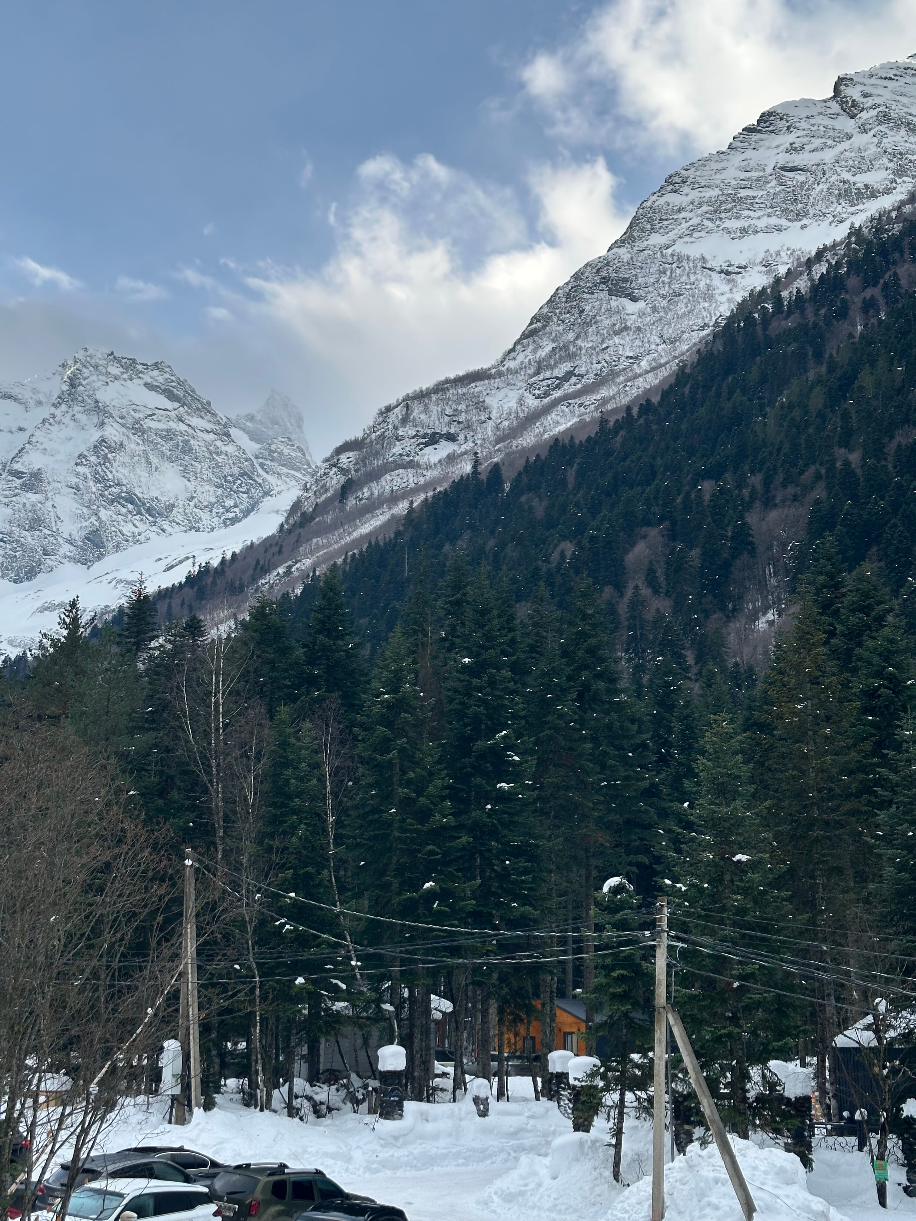 Фото Мамураш