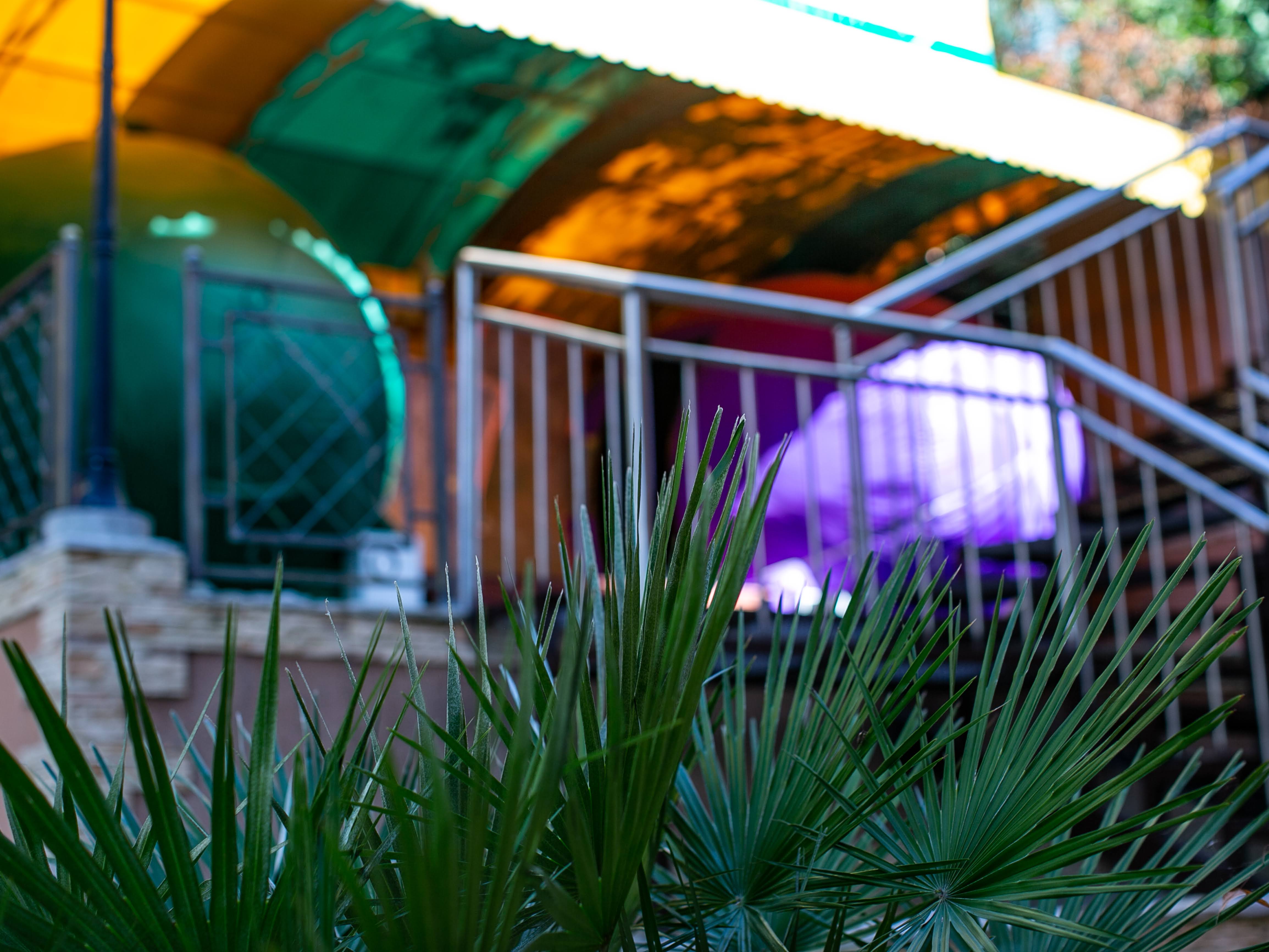 Фото Вилла Полианна