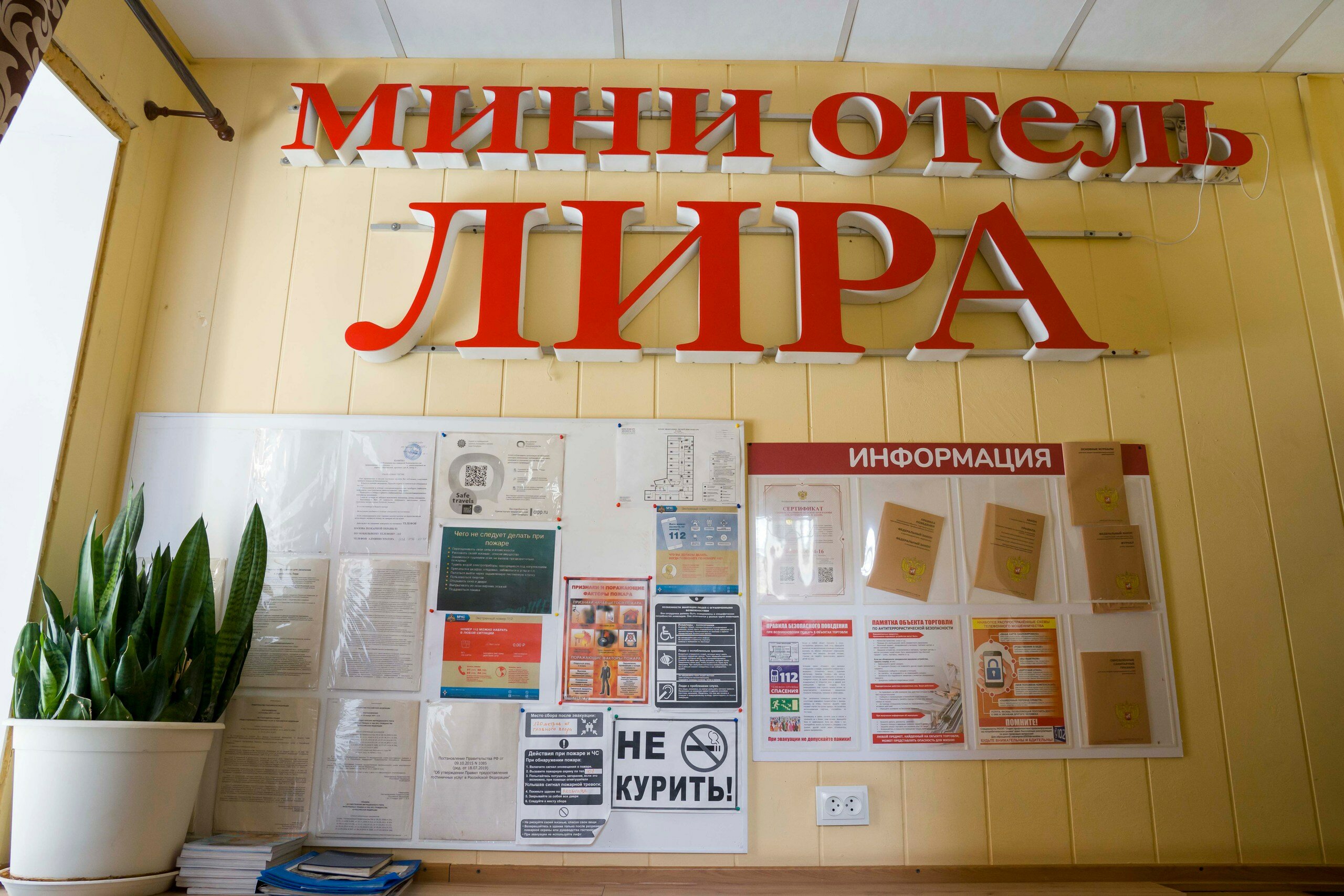Фото Лира