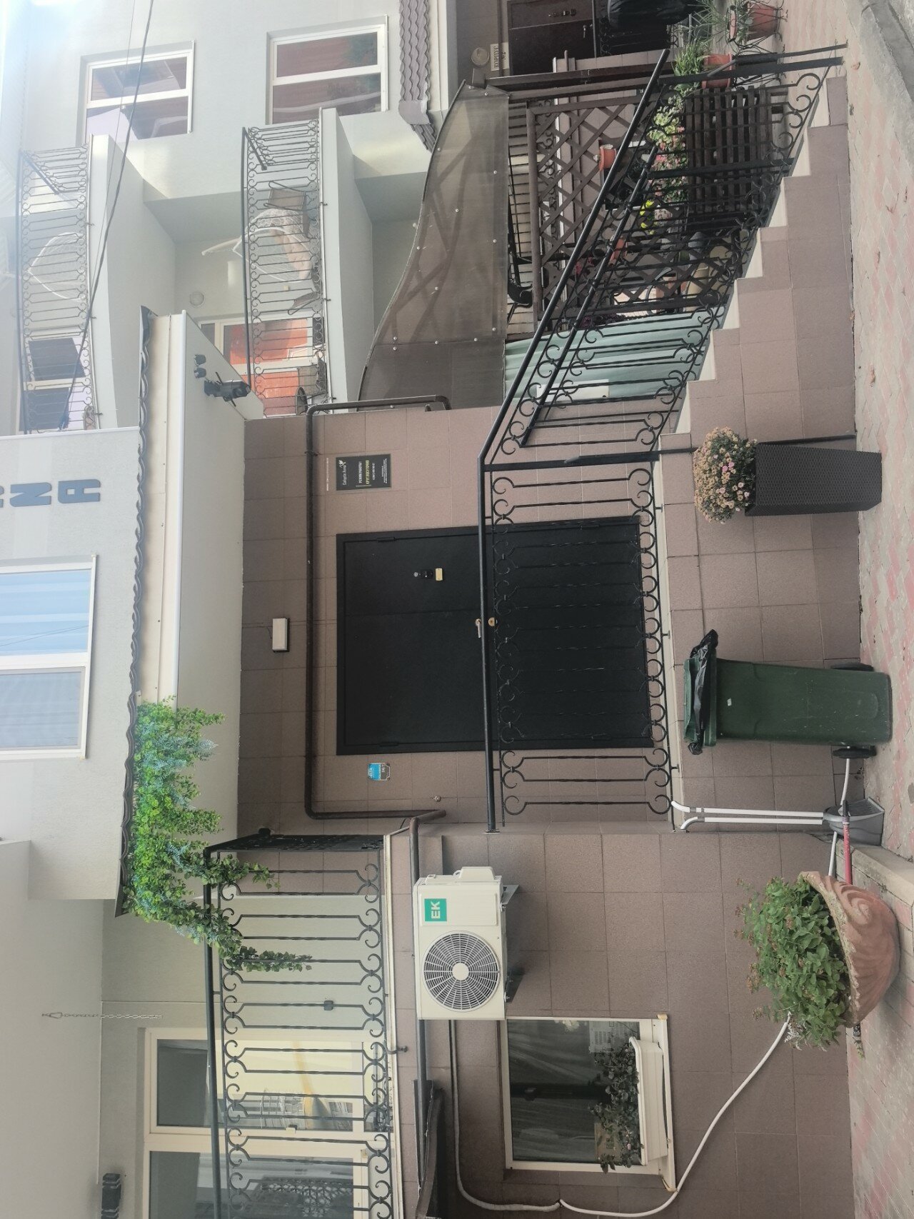 Фото Calypte Anna