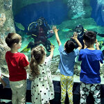 White Elephant (Respublikanskaya Street, 4/1), children's developmental center