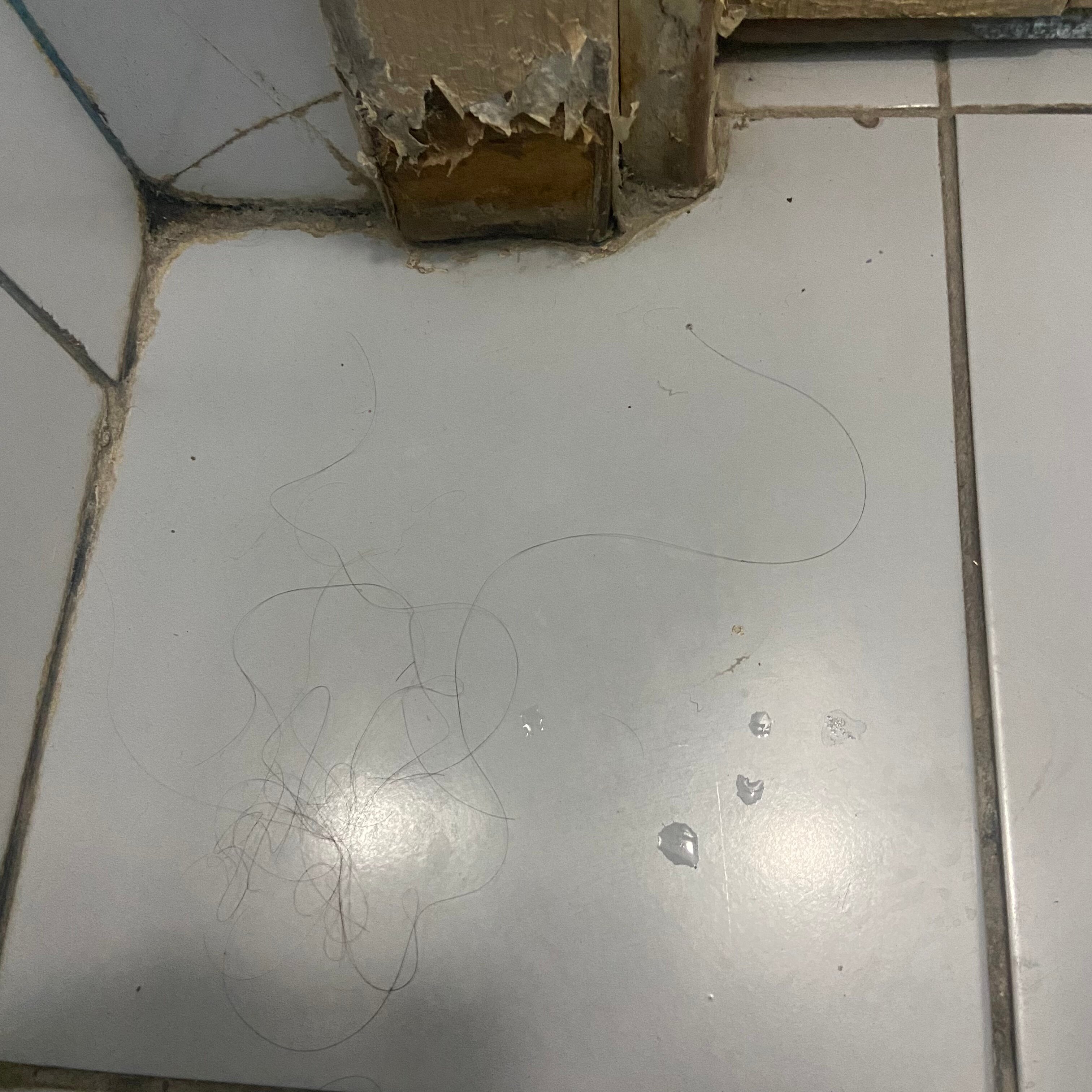 Фото Инфинити