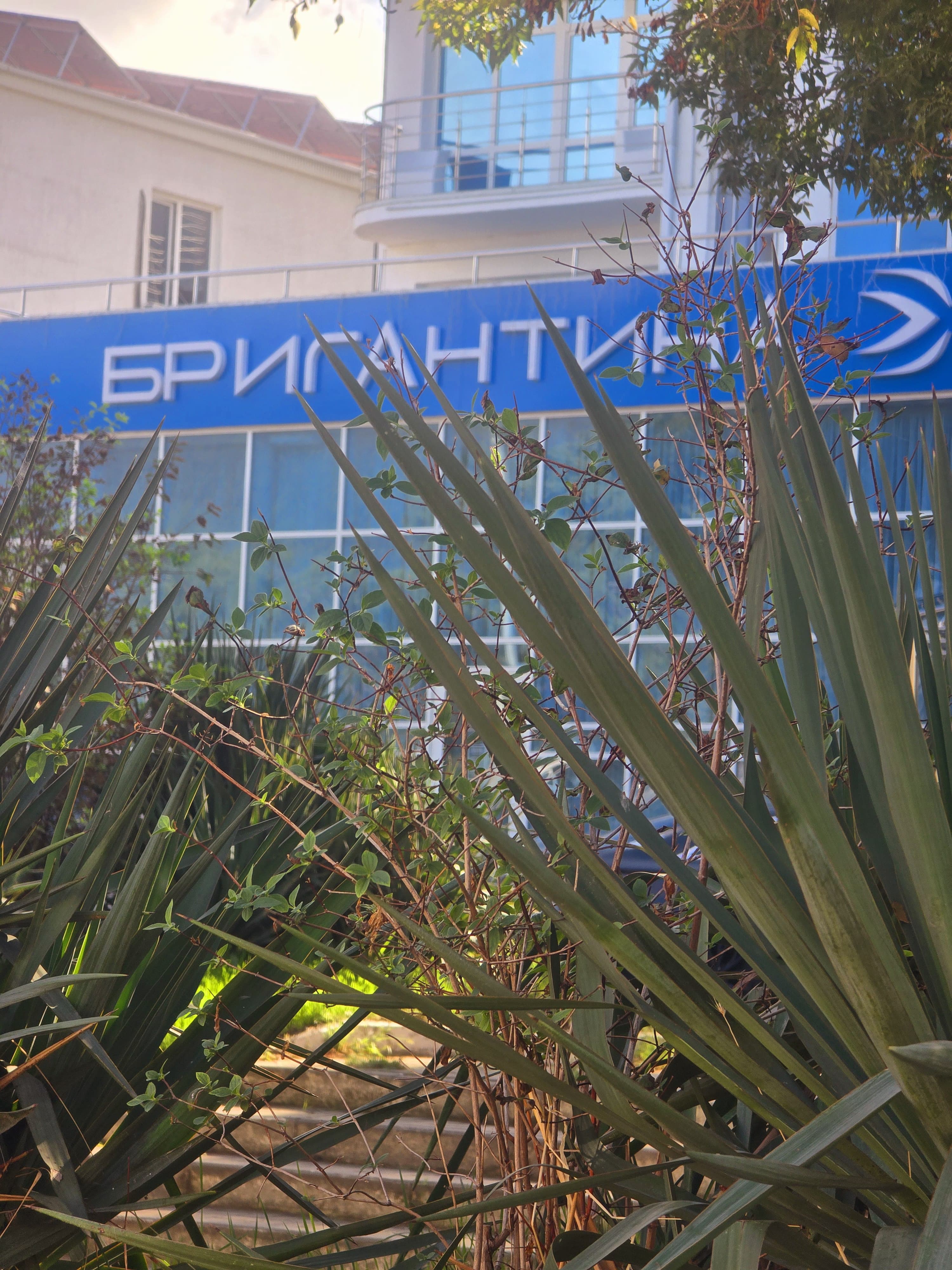 Фото Бригантина