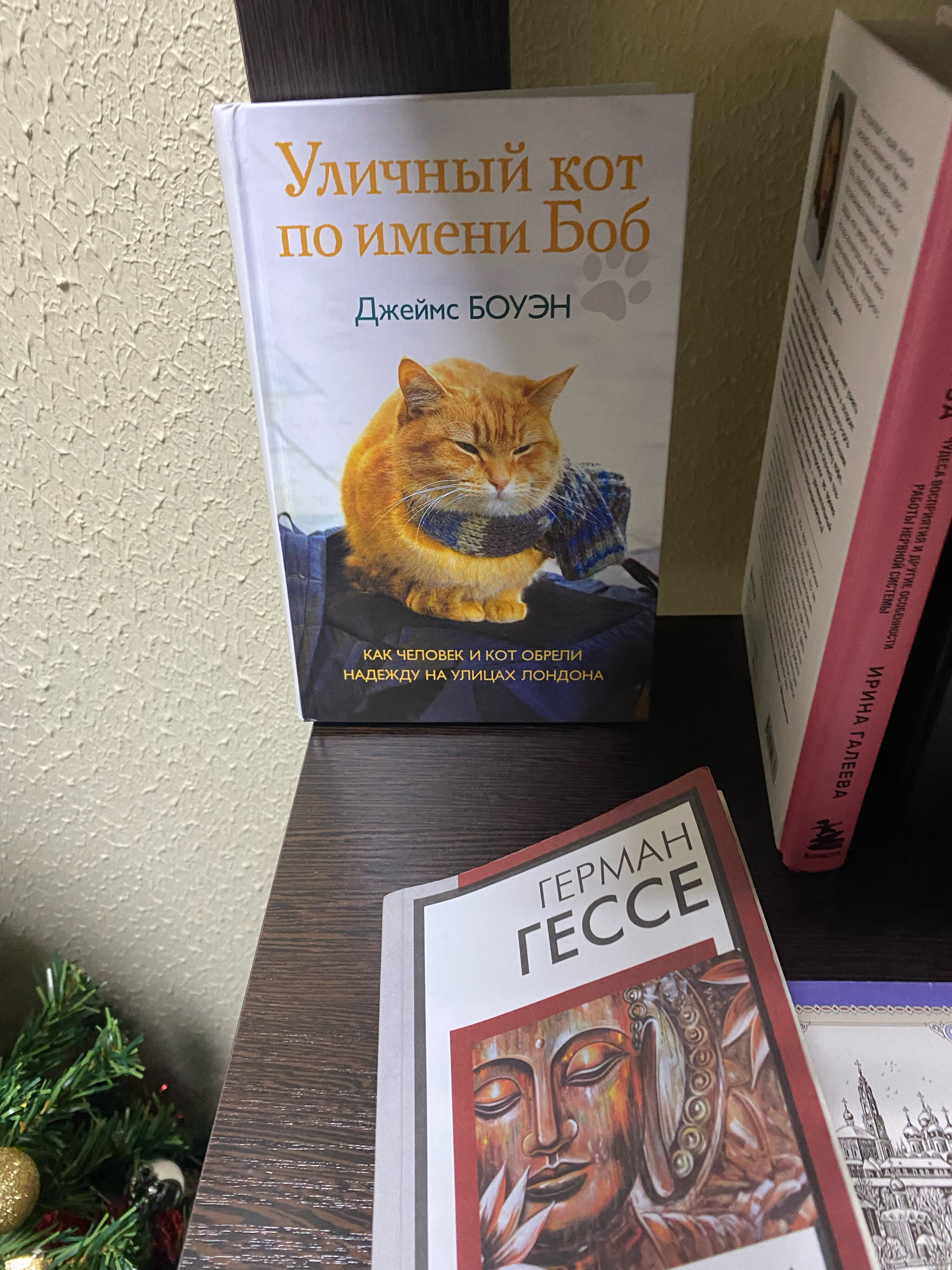 Фото Мневники