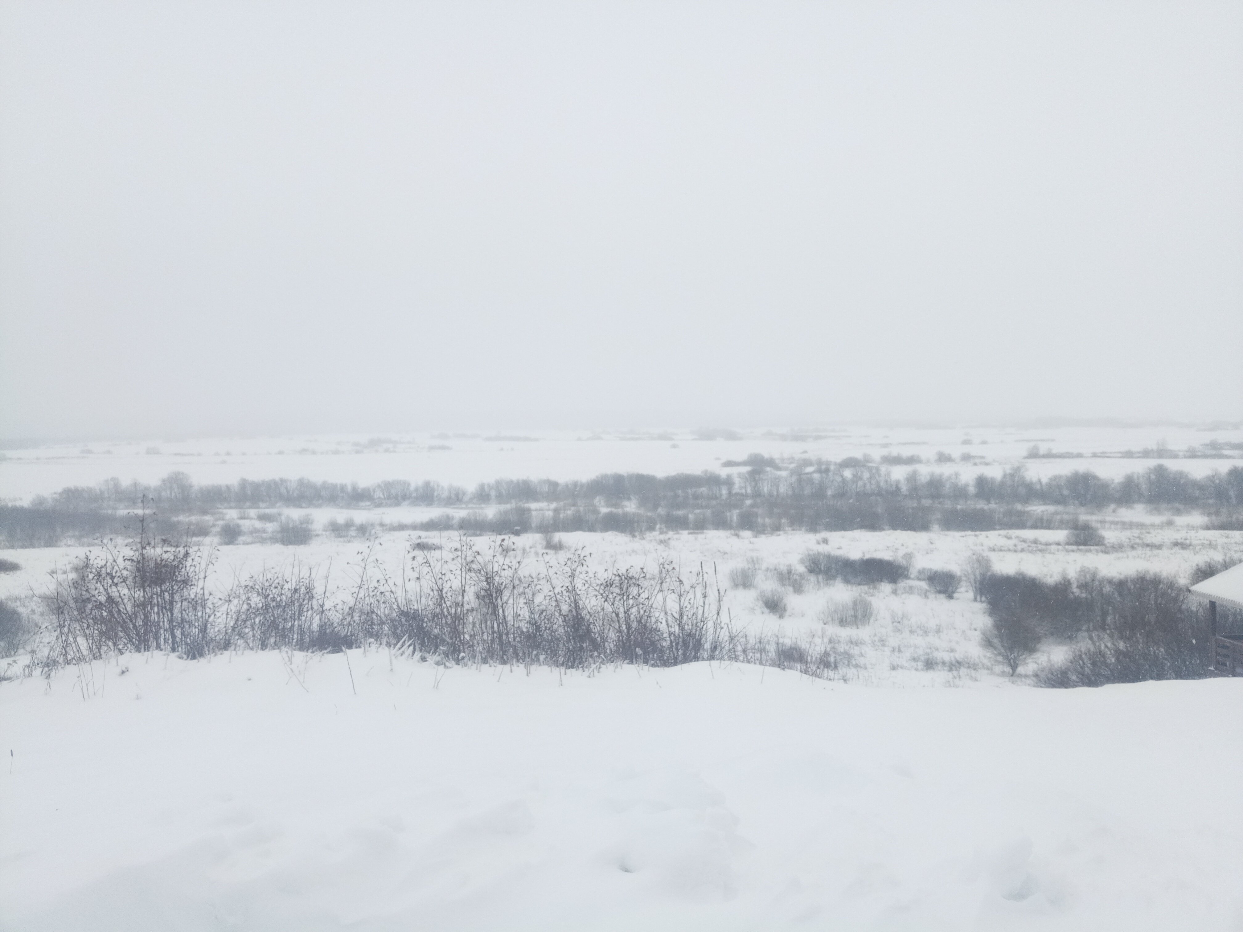 Фото Шумихина гора