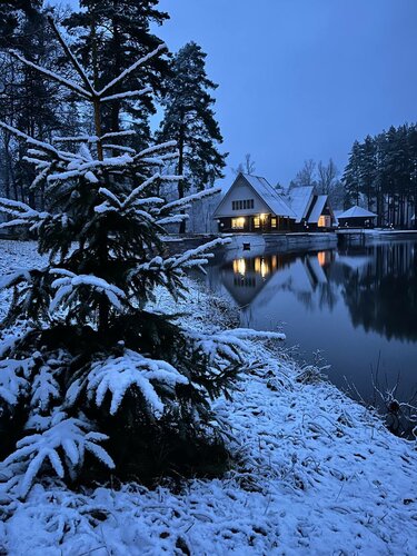 Иное жильё Дворянская усадьба в Тамбовской области