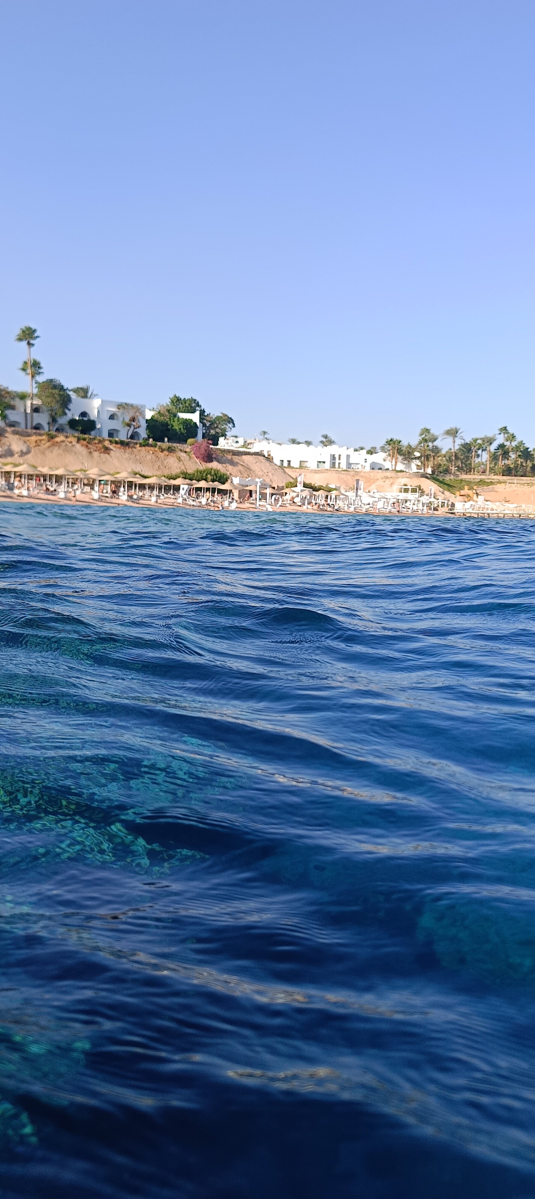 Фото Domina Coral Bay Oasis