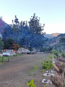 Гостиница Hergül Holiday Village