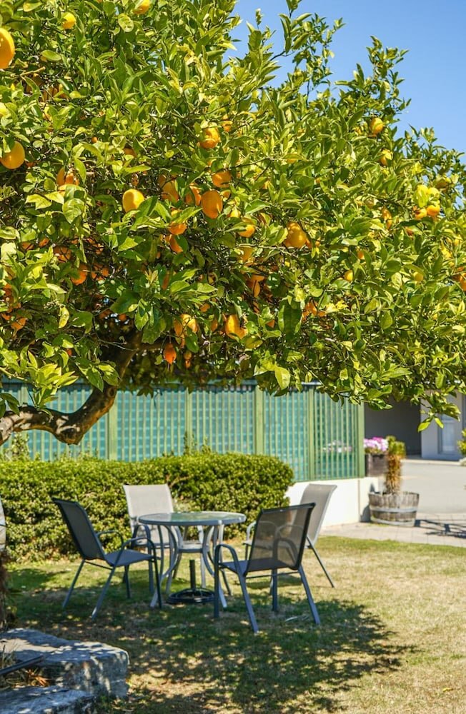 Фото Montana Lodge Motel