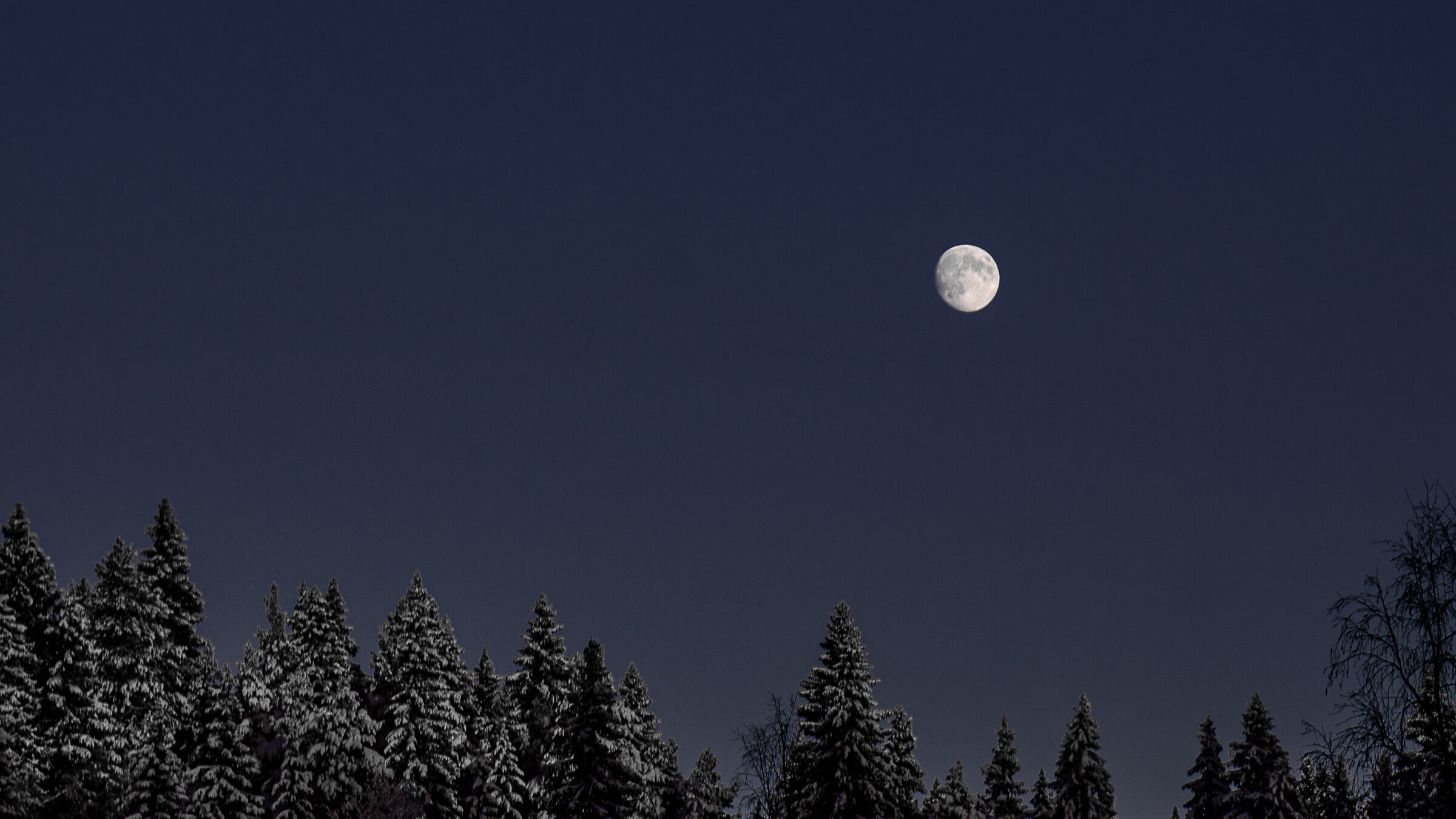 Фото Дом и река