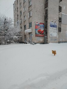 Фото 4 автошколы «Приокский СТК ДОСААФ»