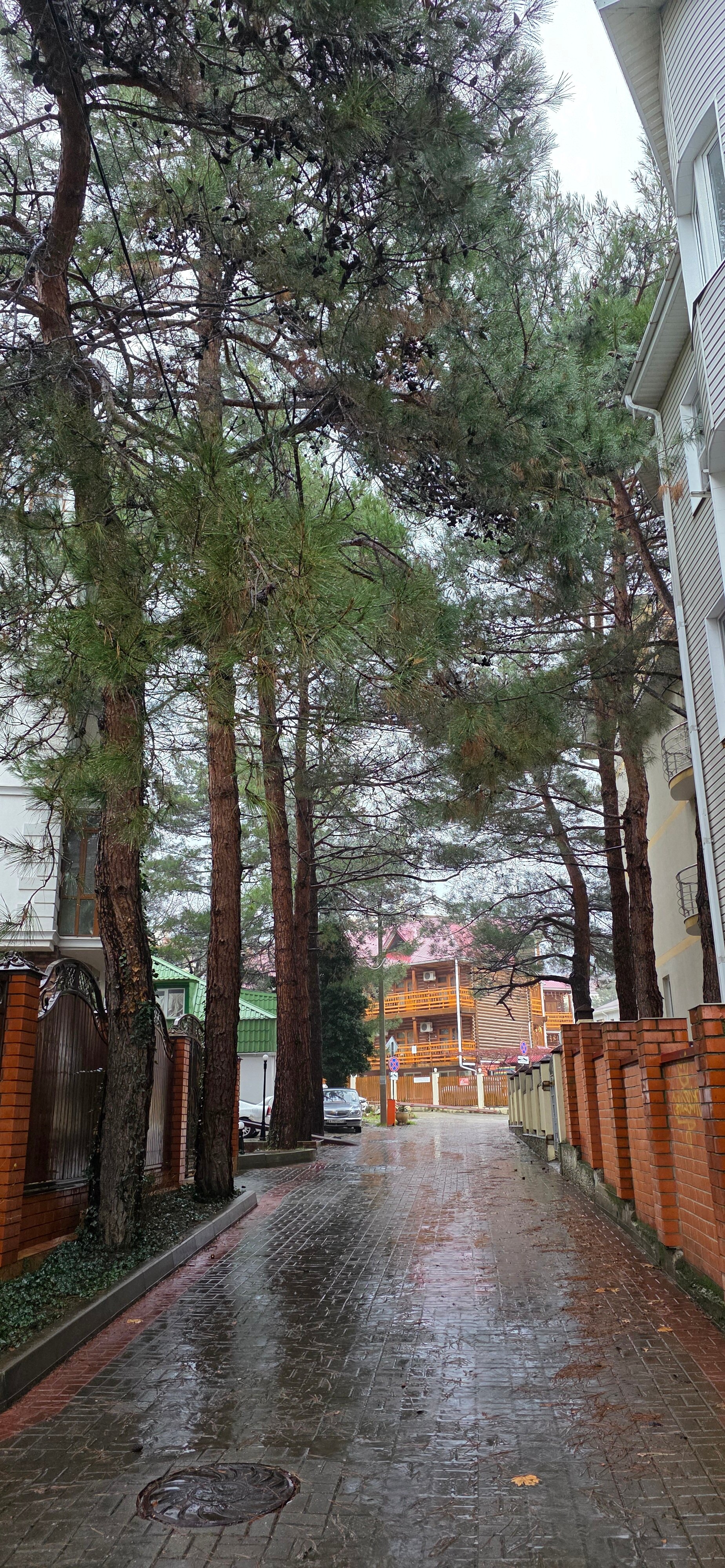 Фото У моря