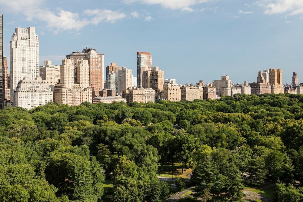 Фото The Ritz-Carlton New York, Central Park