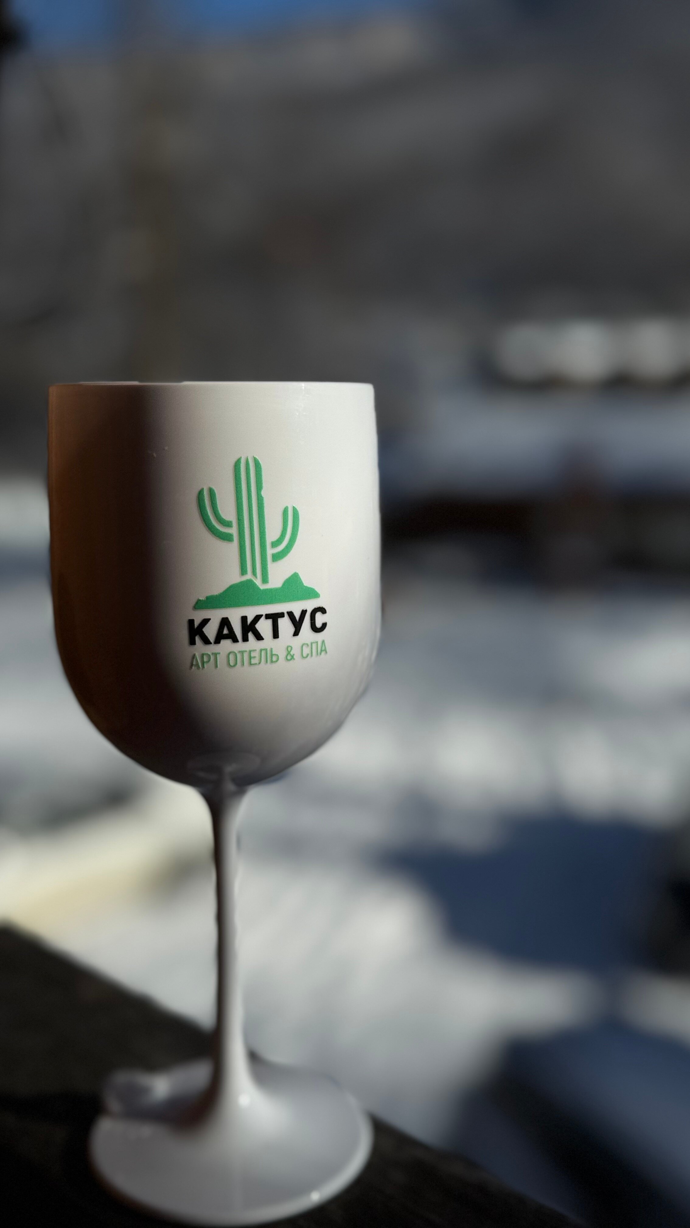 Фото Кактус Арт