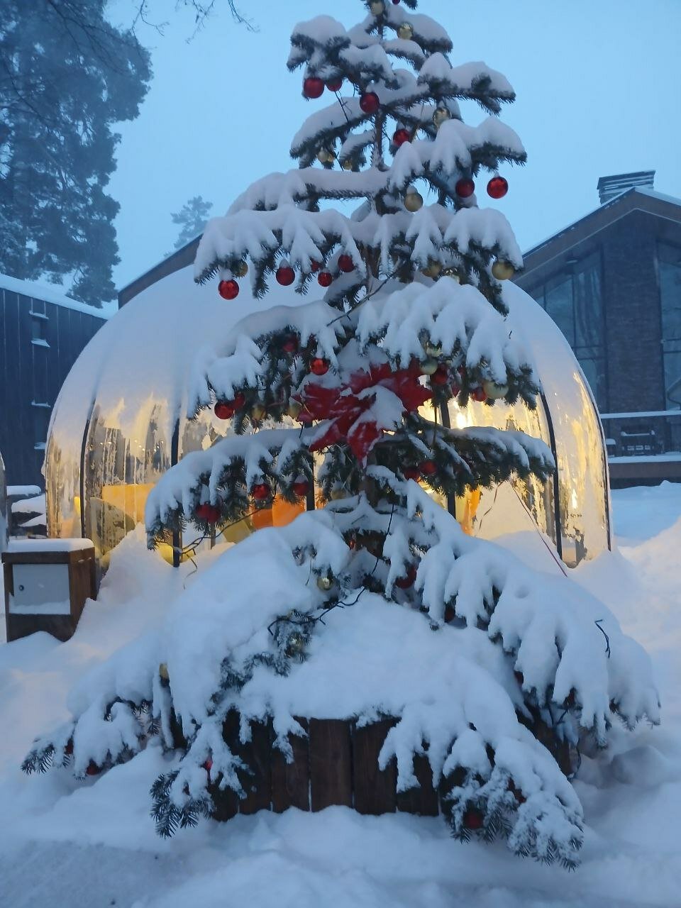 Фото Айвазовский