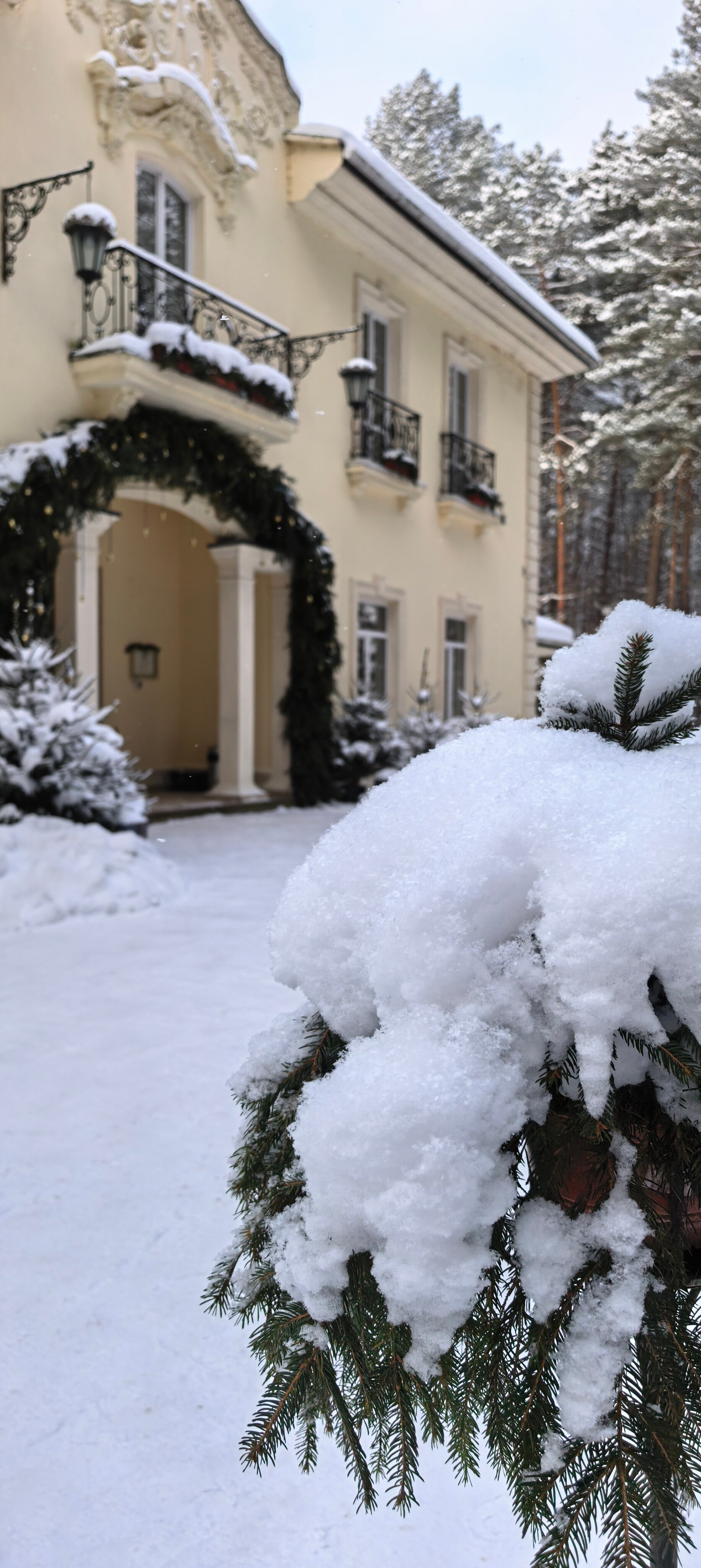 Фото Кронон Парк Отель