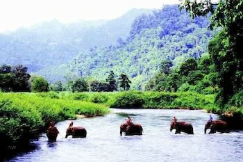 Фото Comsaed River Kwai Resort