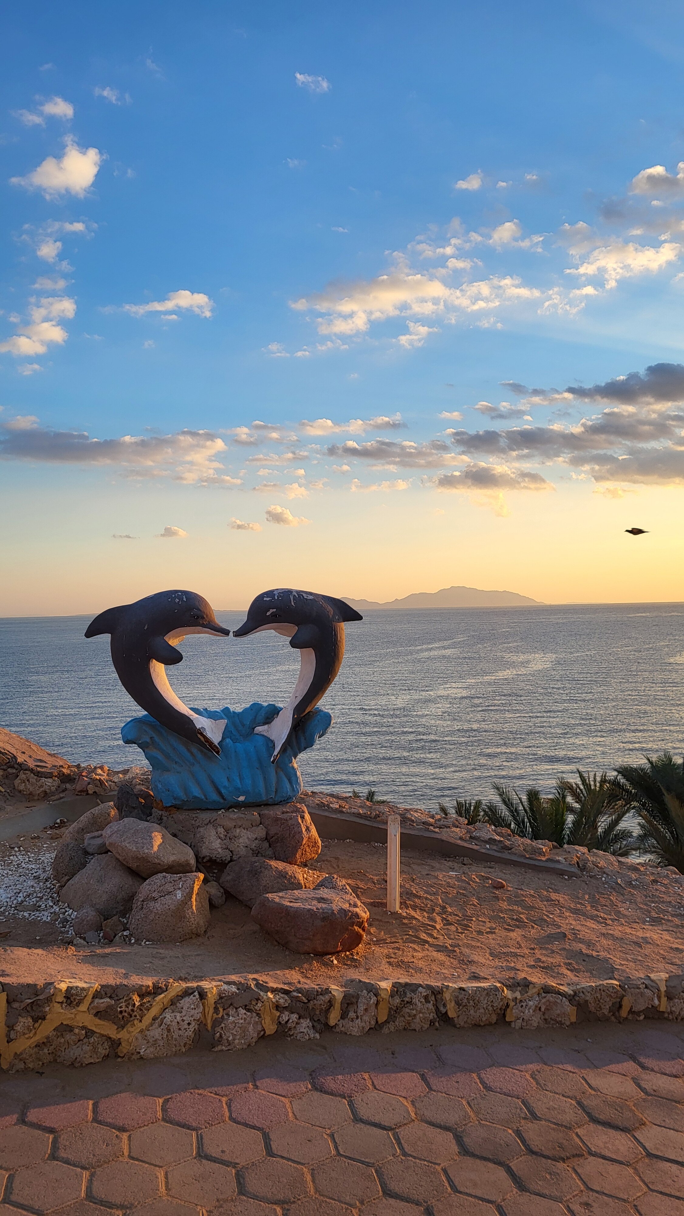 Фото Dreams Vacation Resort - Sharm El Sheikh