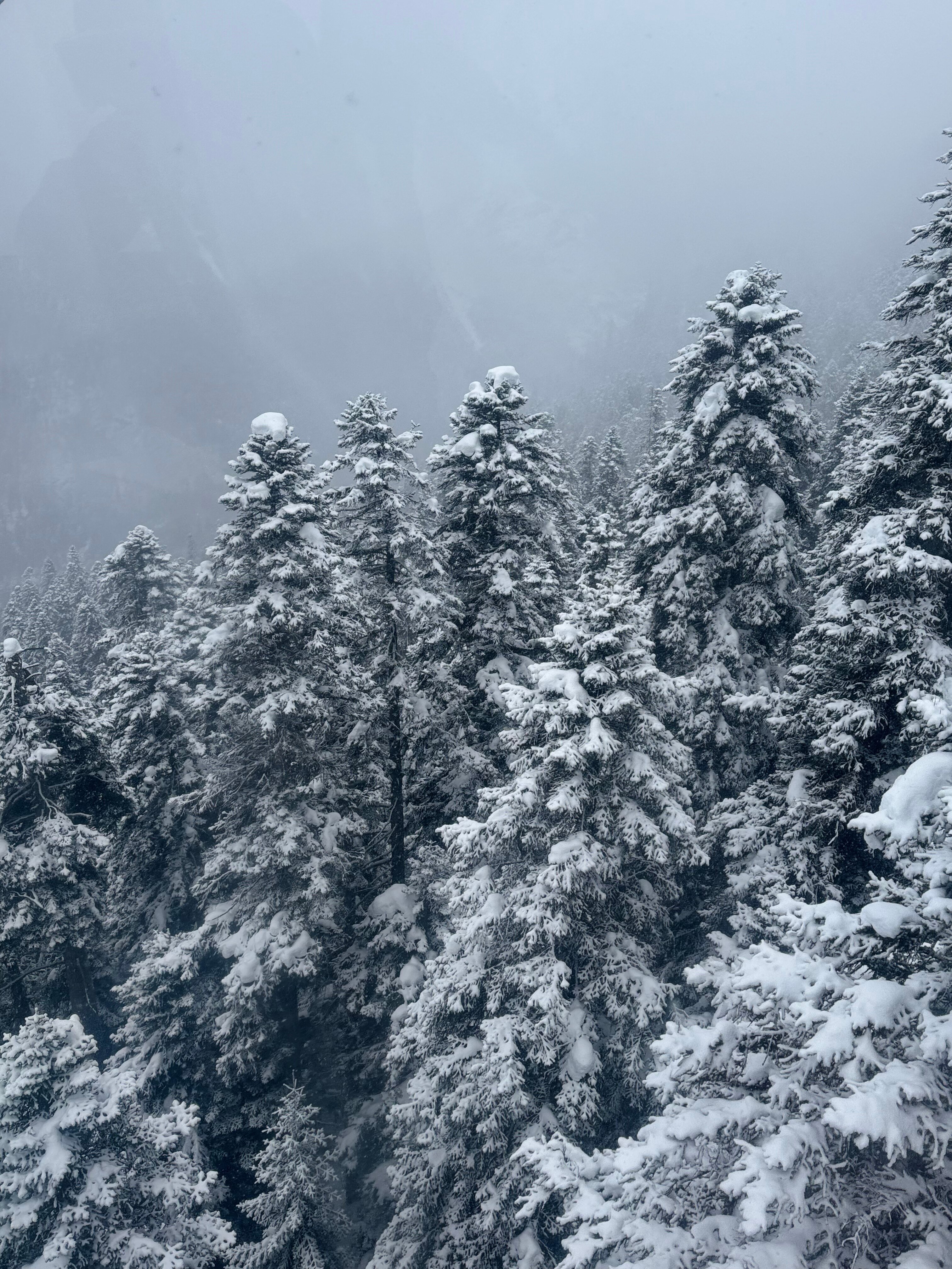 Фото Времена Года Village