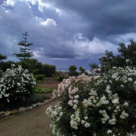 Фото Глория