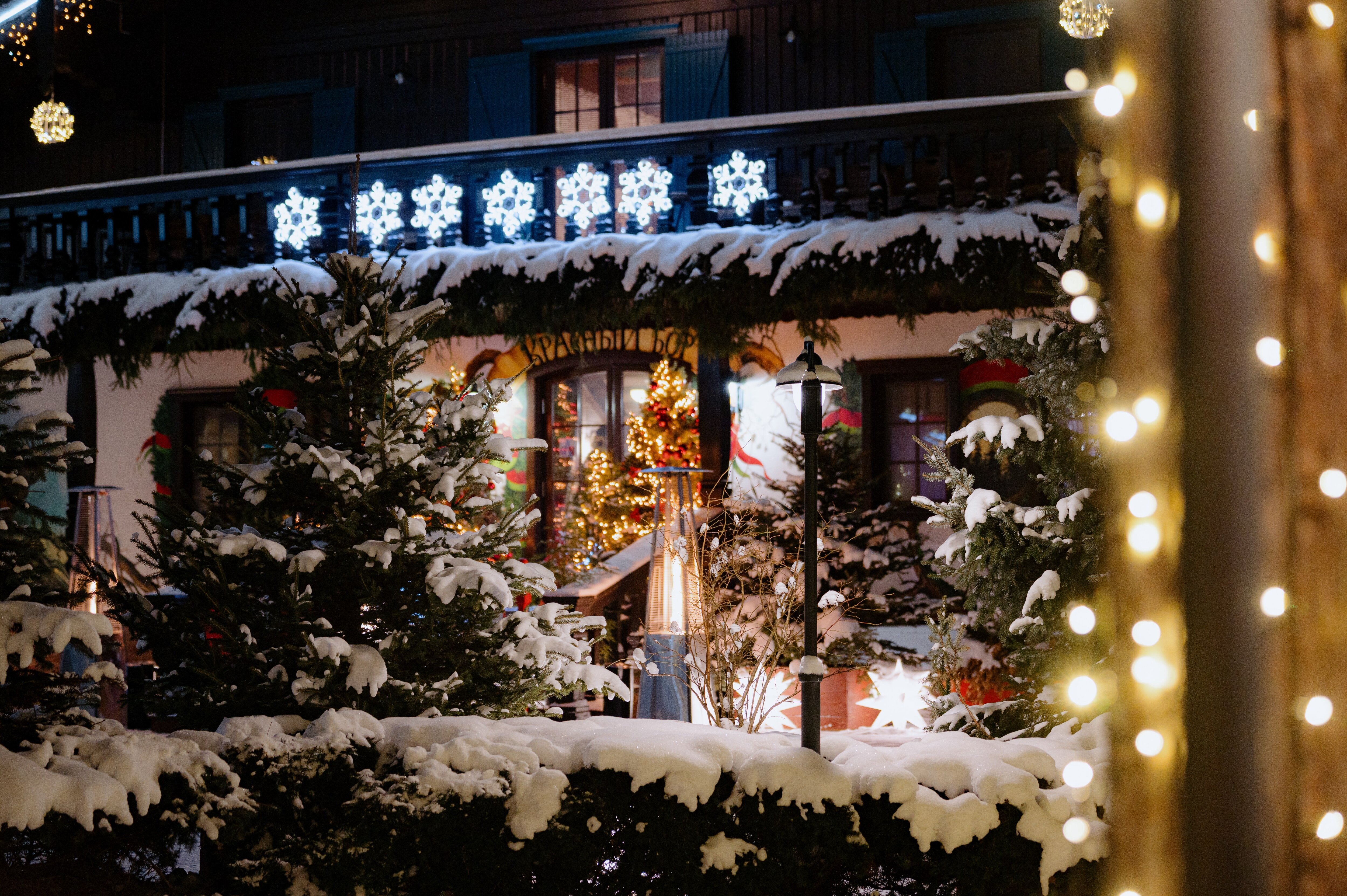 Фото Красный Бор