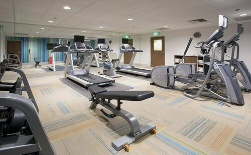 Гостиница Holiday Inn Express & Suites Dallas Northeast-Arboretum в Гарлэнде
