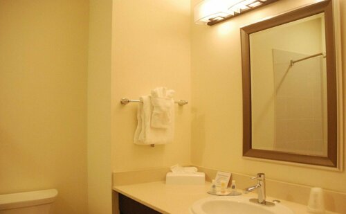 Гостиница Comfort Inn & Suites в Террасе