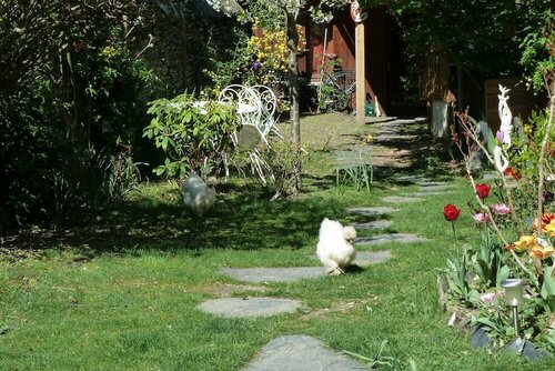 Гостиница Le Petit Quernon в Анжере