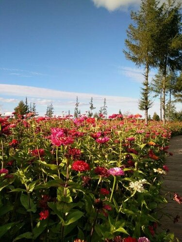 Гостиница Xilaibin Hotel в Гирине