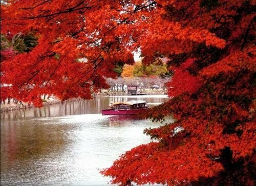 Гостиница Tobaya Ryokan в Префектуре Сига