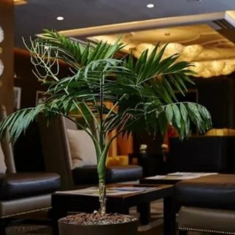 Фото Art Hotel