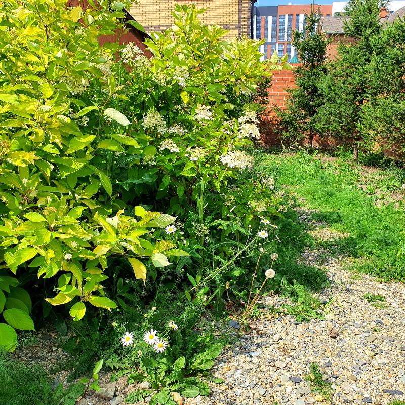 Фото Дискавери