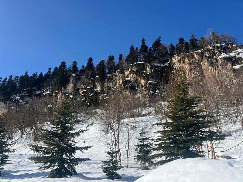 Мария Кочеткова