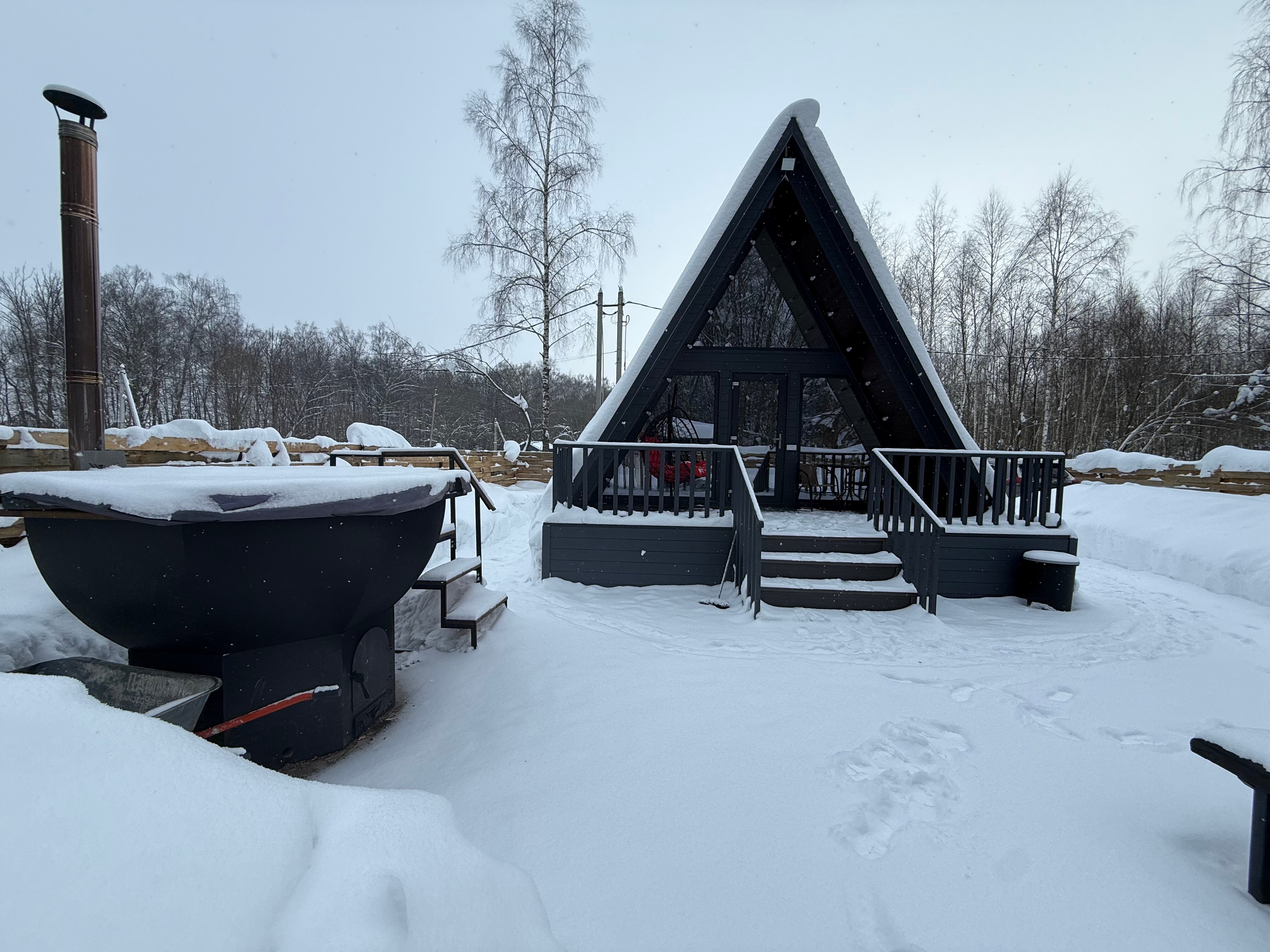 Фото Звёзды леса