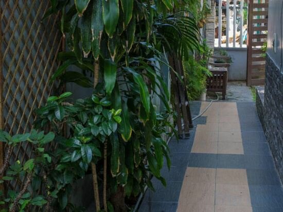 Фото Green Coco Homestay Hoi An