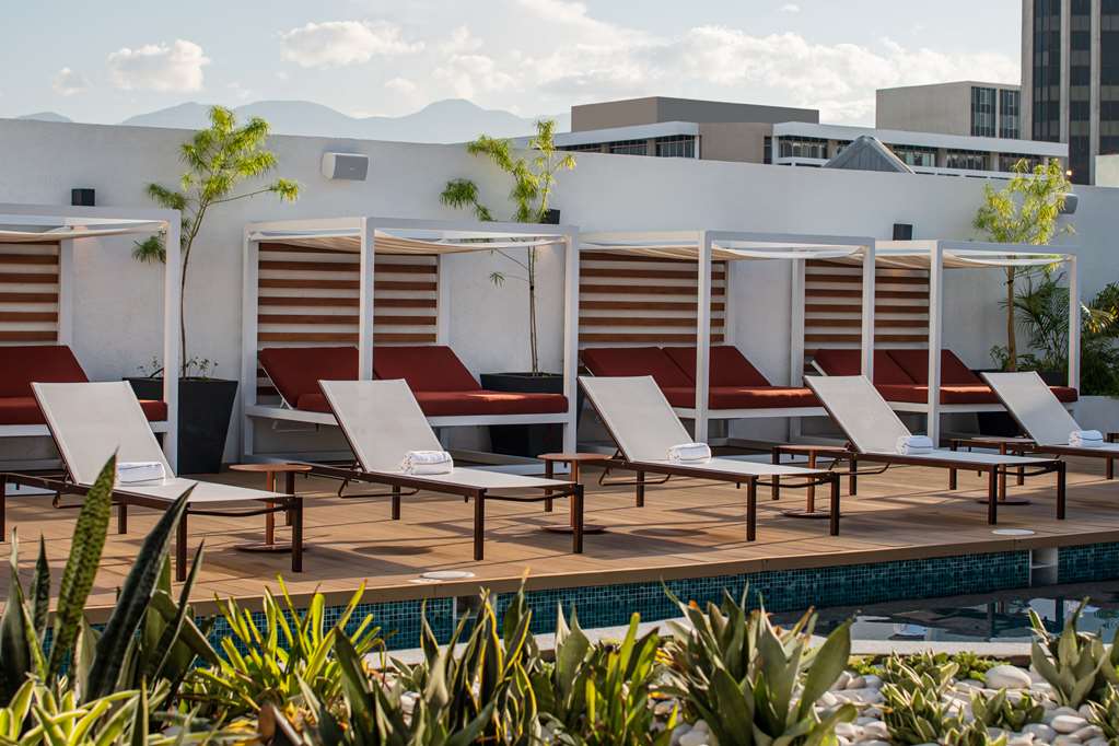 Фото Rok Hotel Kingston Tapestry Collection by Hilton