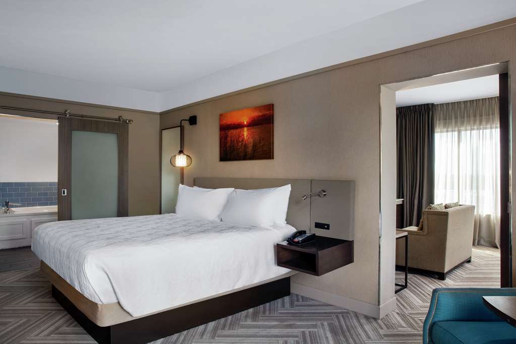 Фото Hilton Garden Inn Mobile Downtown