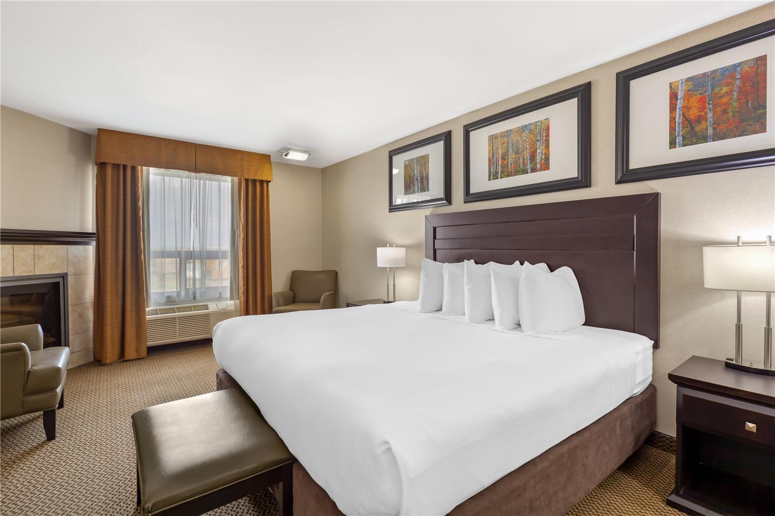 Фото Best Western Bonnyville Inn & Suites