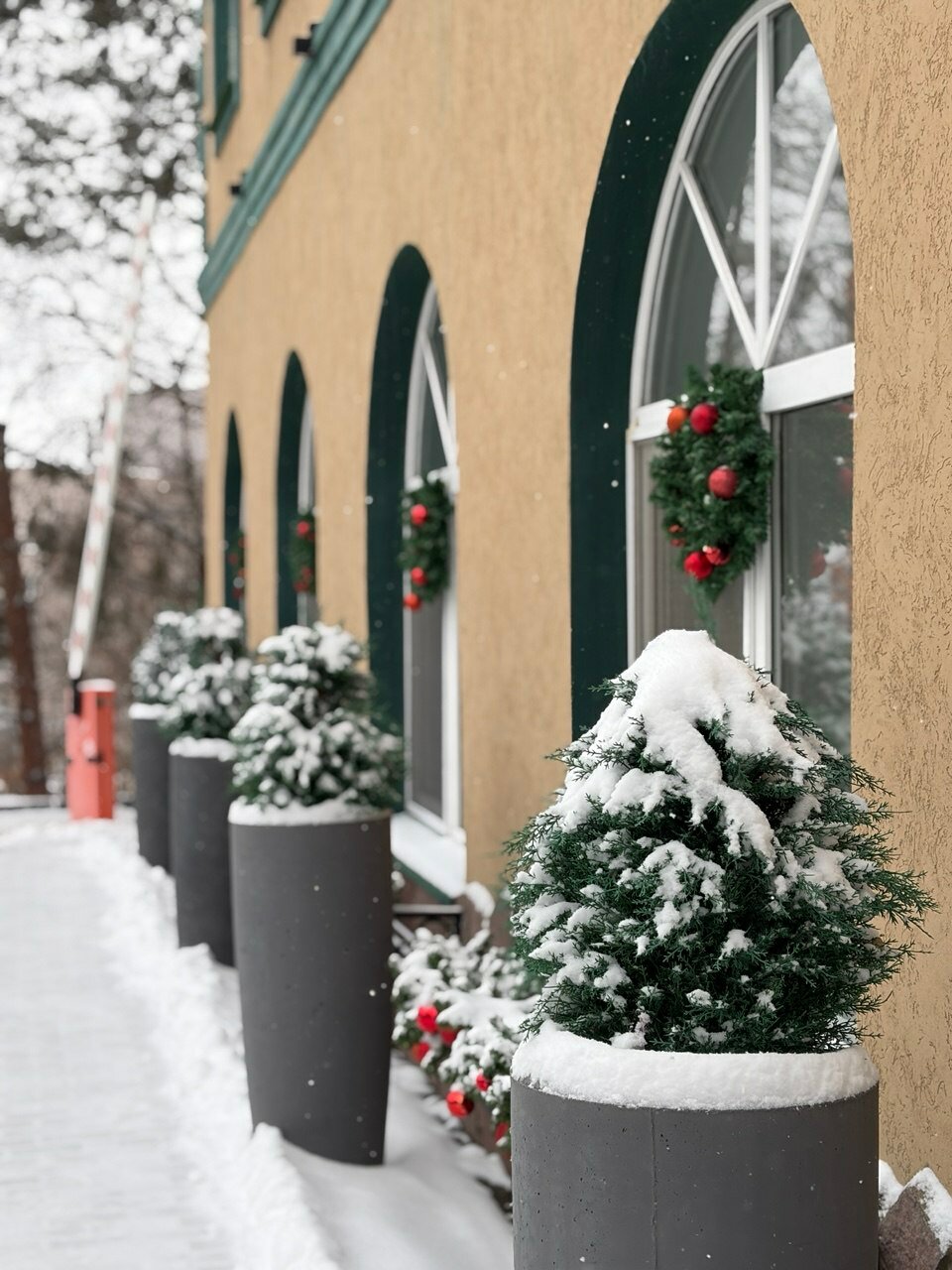 Фото Грин Руф