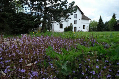 Гостиница Villa Žerotín Penzion Bed & Breakfast в Шумперке