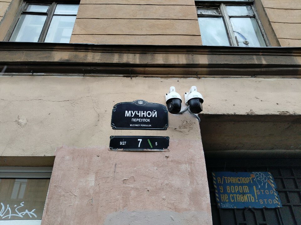 Фото Птички