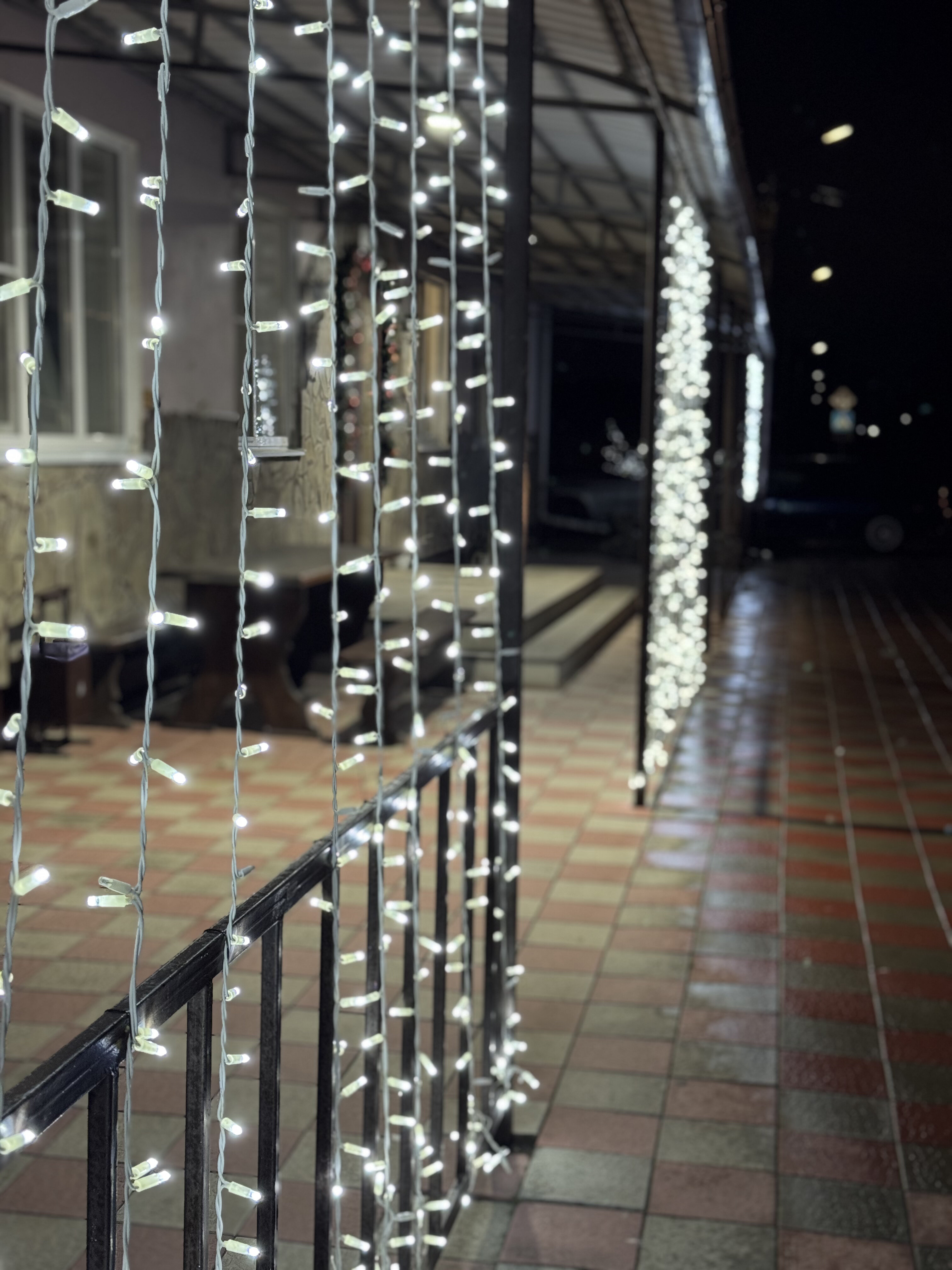 Фото Вишневый сад