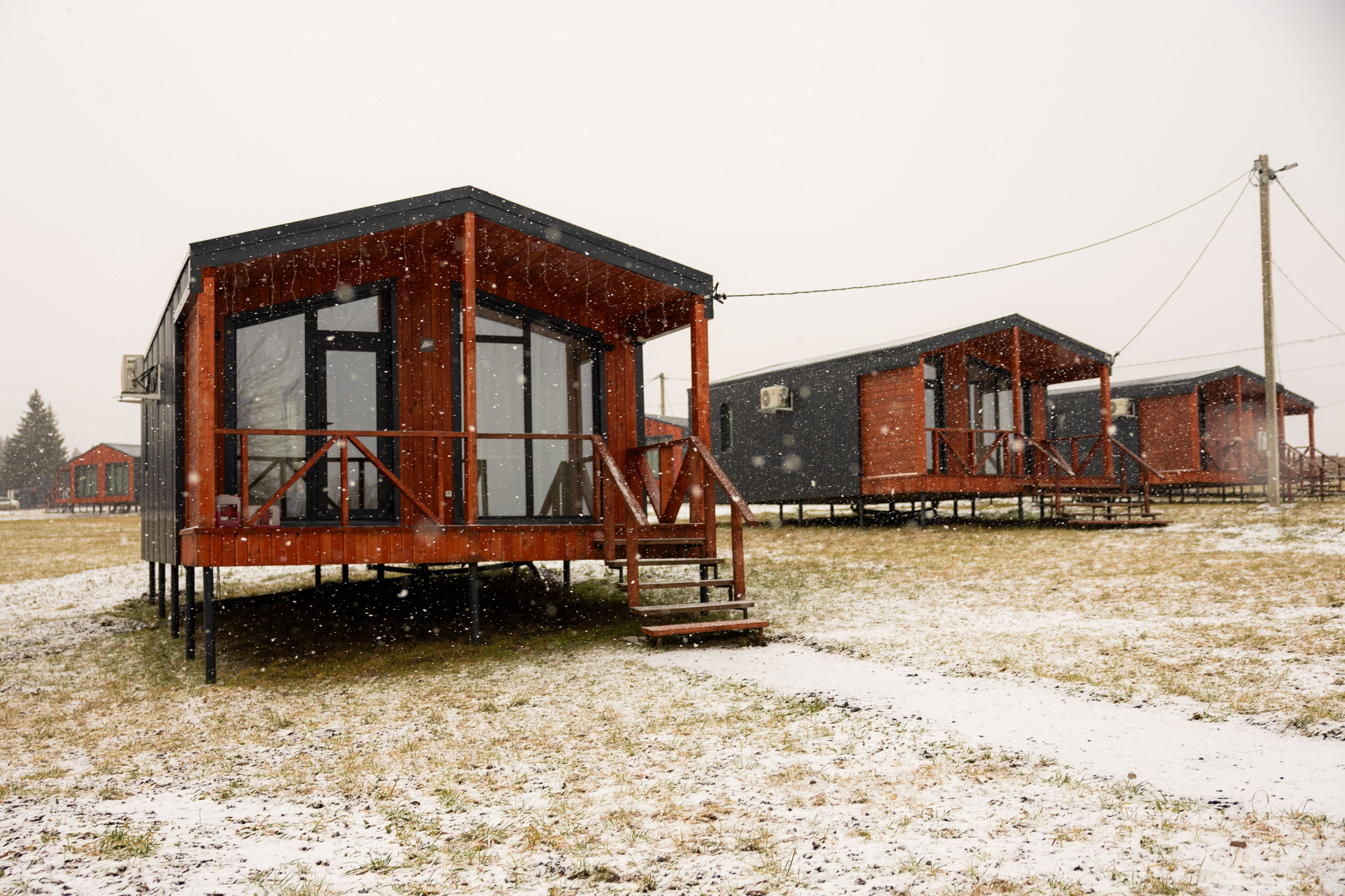 Фото Липовый цвет