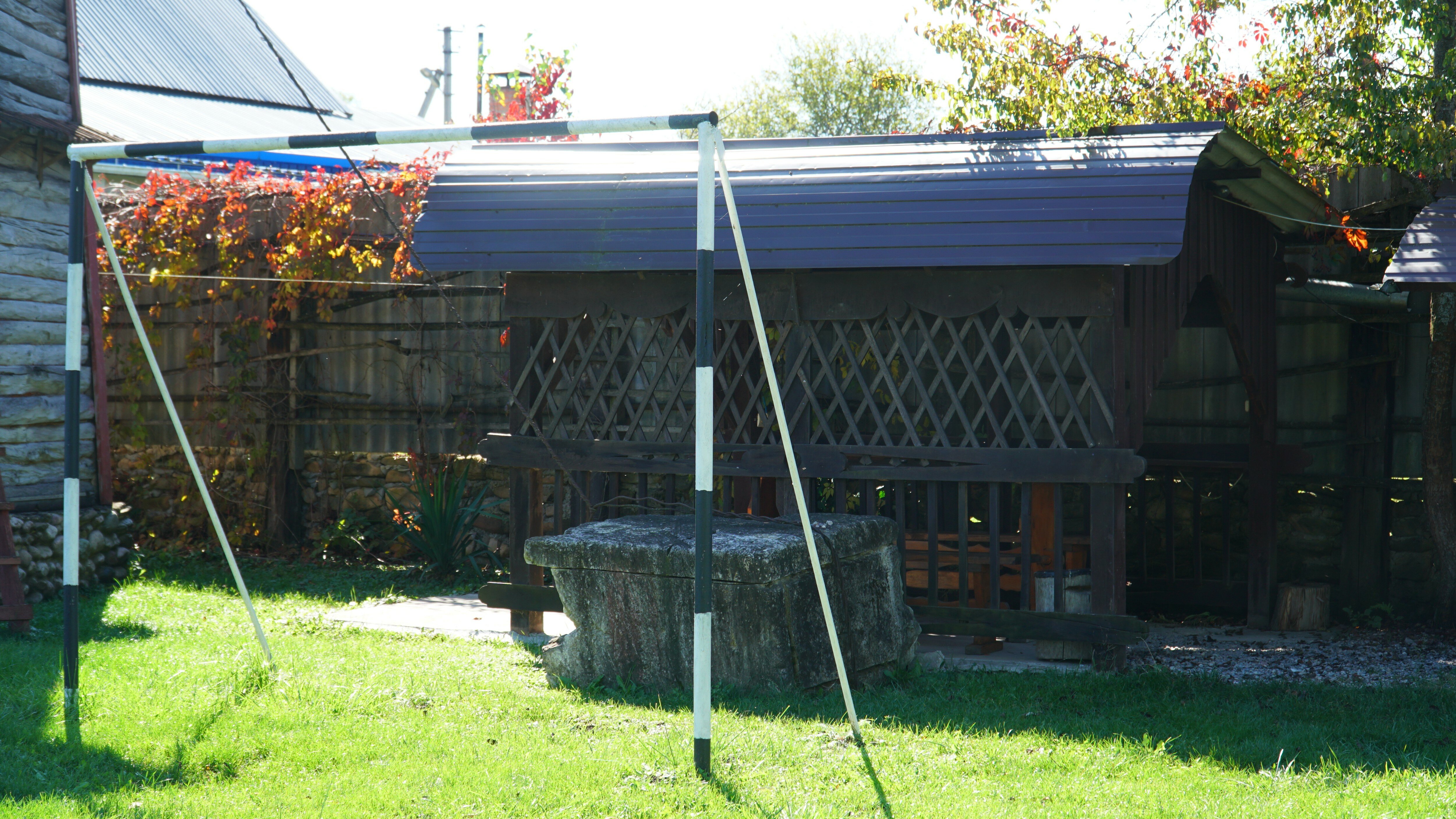 Фото Снежный Барс